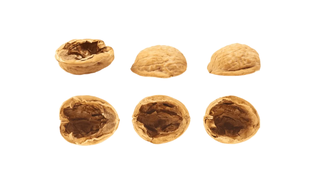 Walnut Shell for Blasting Media