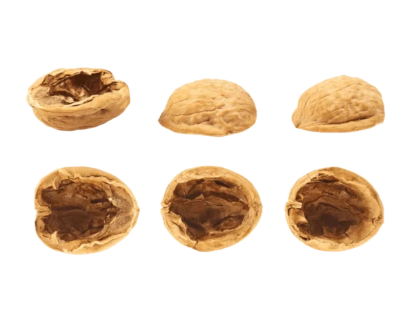 Walnut Shell for Blasting Media